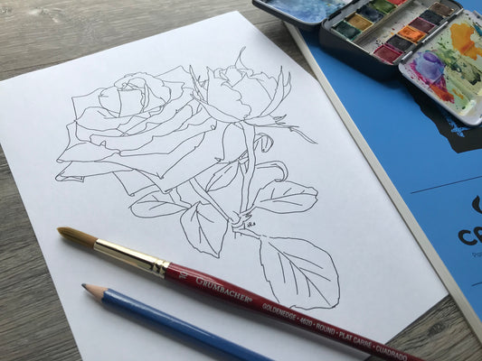 Rose Drawing Guide, Watercolor Template, Digital download PDF
