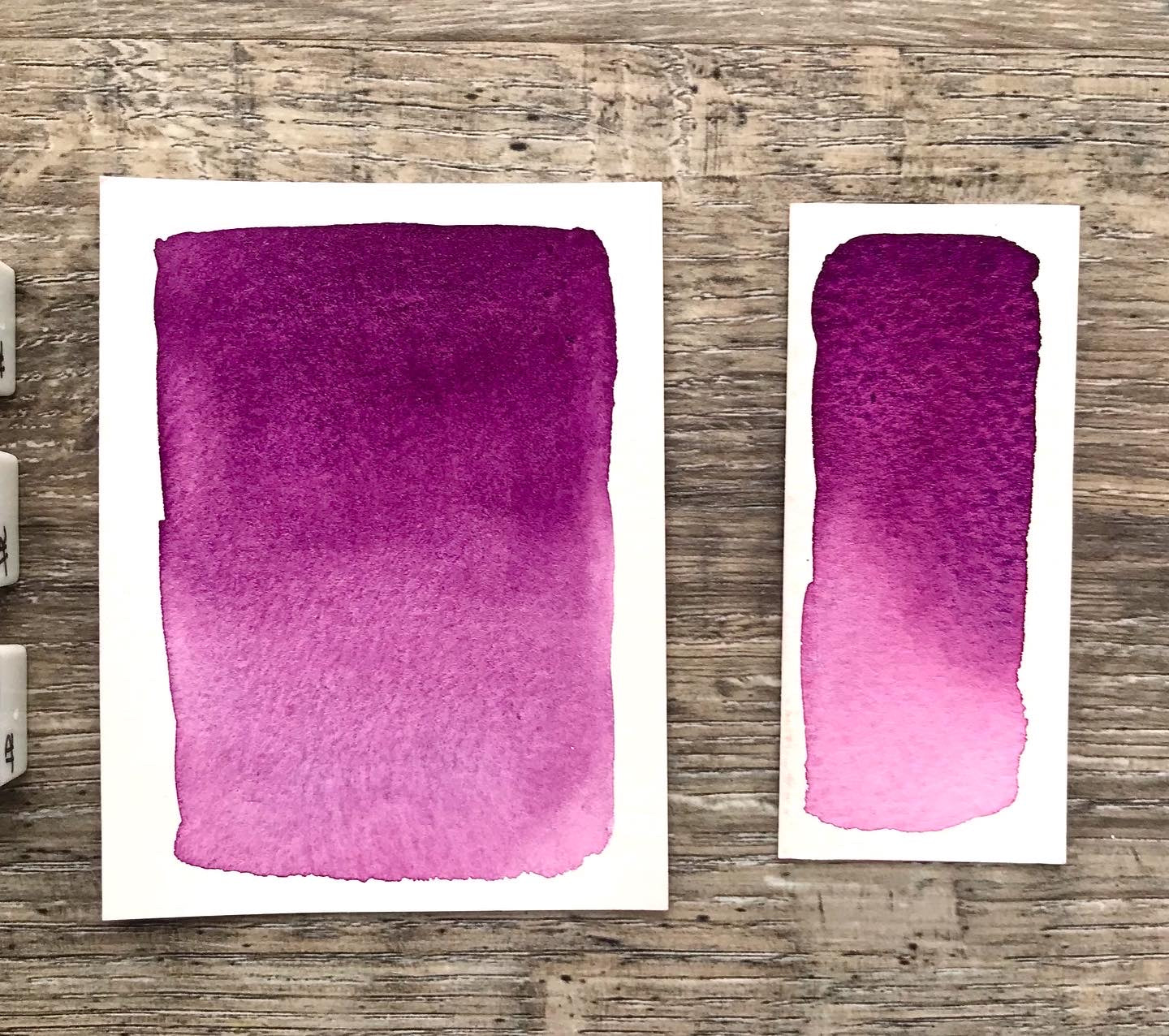 Damson Plum Handmade Watercolour