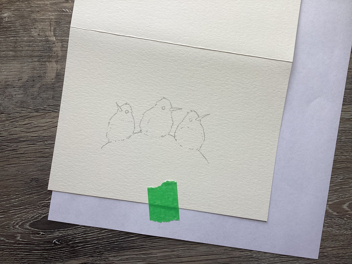 Watercolour Greeting Card DIY Kit, Birds